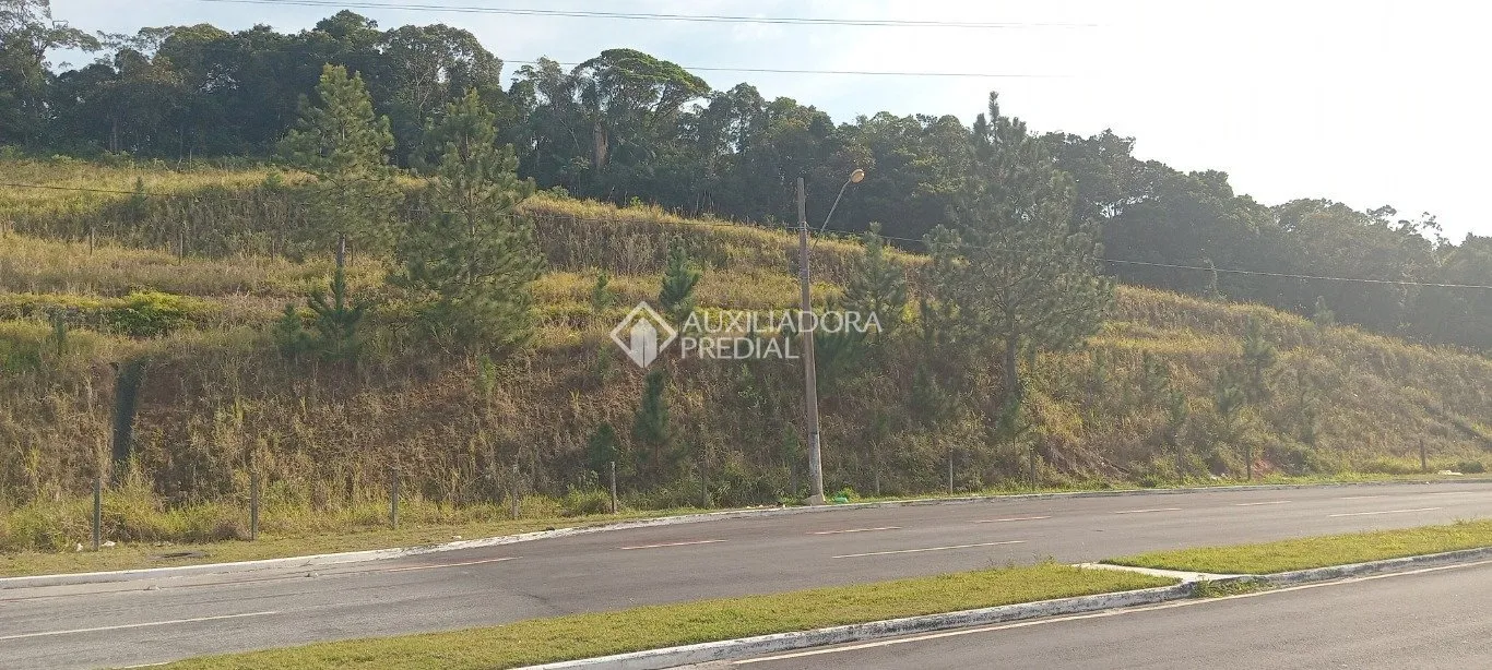 Imóvel - foto 1