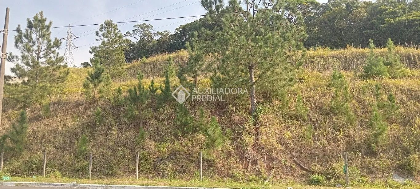 Imóvel — foto 4