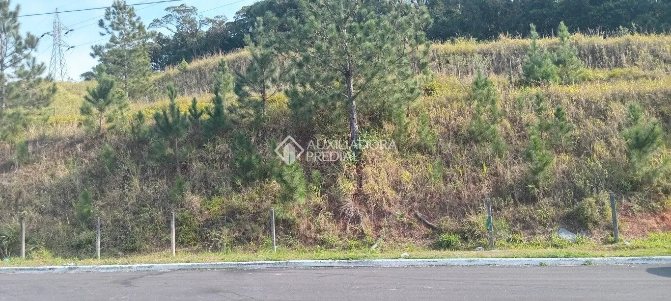 Imóvel — foto 6