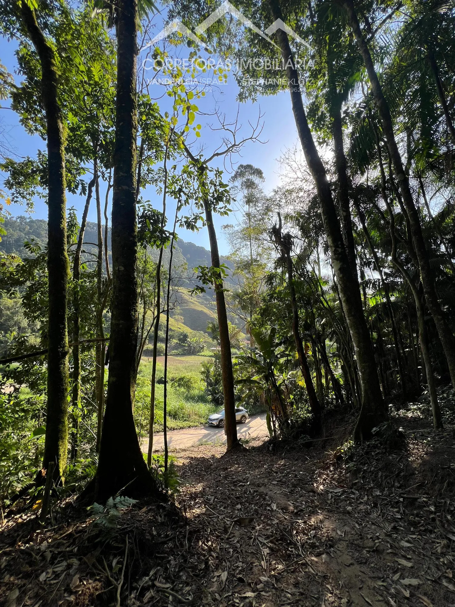 TERRENO RURAL - Wunderwald, Pomerode SC - foto 1
