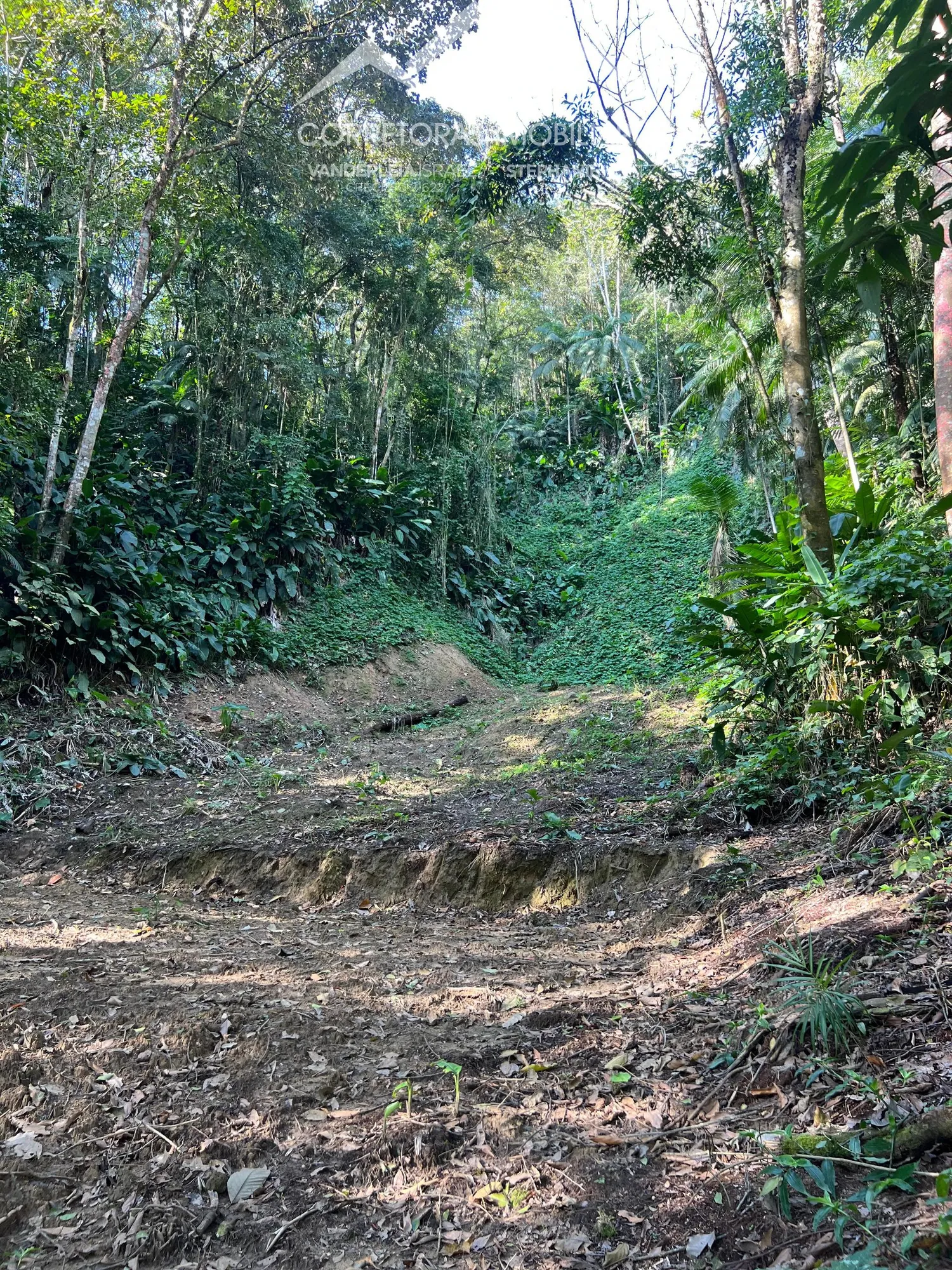 TERRENO RURAL - Wunderwald, Pomerode SC — foto 2