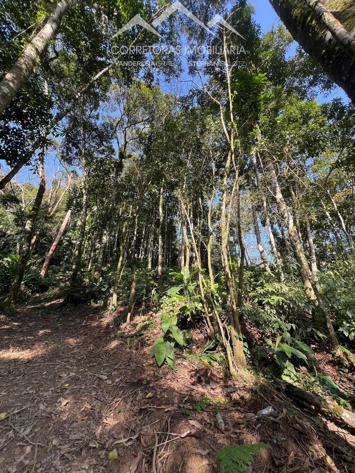 TERRENO RURAL - Wunderwald, Pomerode SC — foto 3