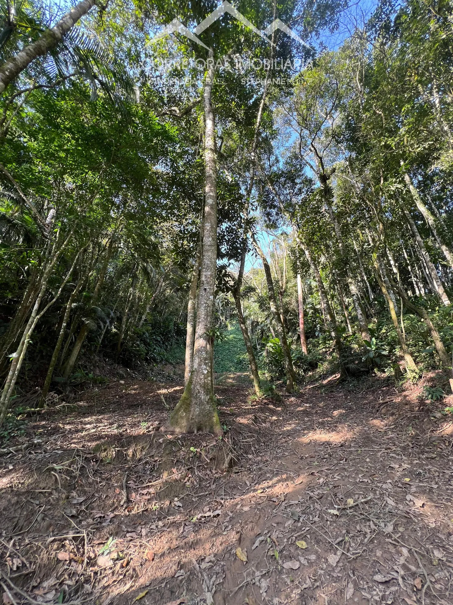 TERRENO RURAL - Wunderwald, Pomerode SC — foto 4