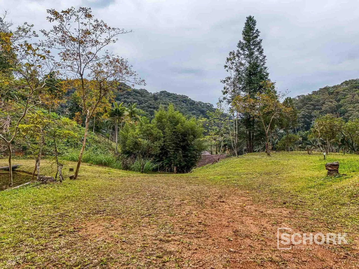Sítio com 3 dormitórios à venda, 96000 m por R$ 1.290.000,00 - Vila Itoupava - Blumenau/SC — foto 3