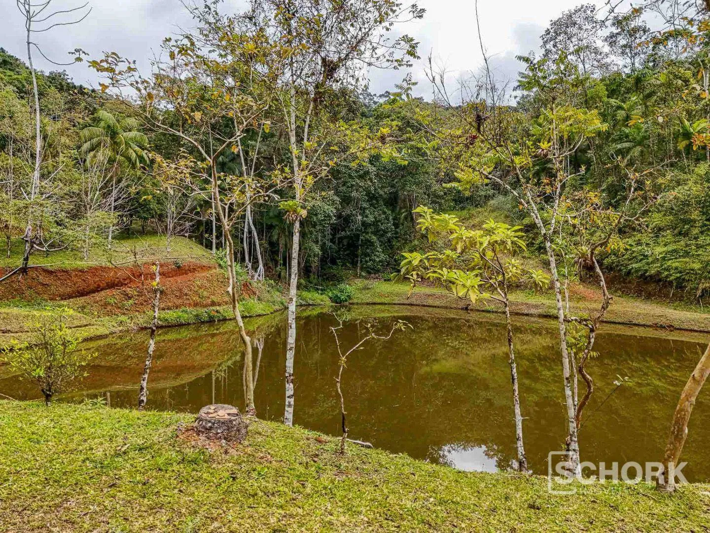 Sítio com 3 dormitórios à venda, 96000 m por R$ 1.290.000,00 - Vila Itoupava - Blumenau/SC — foto 2