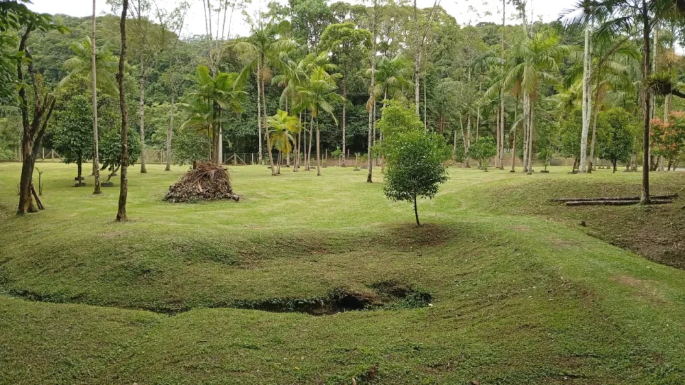 MAGNÍFICO SÍTIO 90.000m2 - INDAIAL - ACEITA PROPOSTA / PERMUTA — foto 3