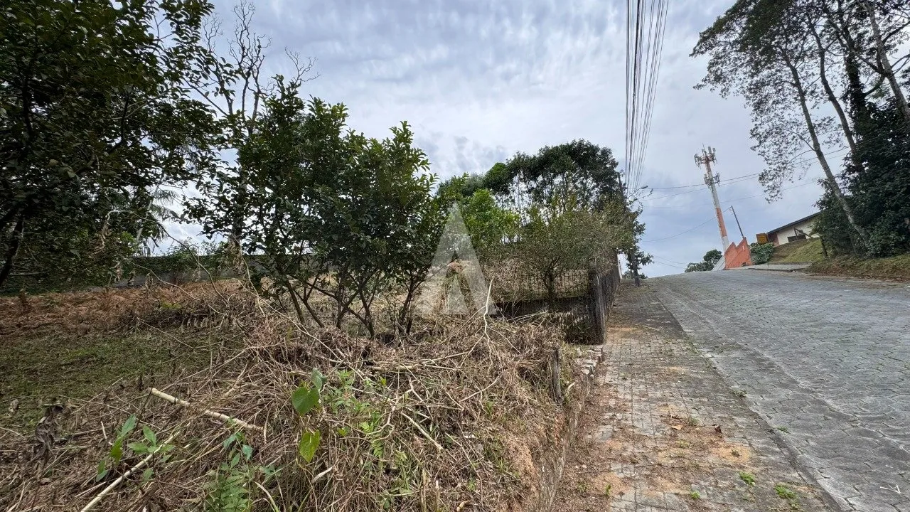 Terreno à venda no bairro Floresta em Joinville, de R$ 870.000,00 por R$826.500,00. — foto 2