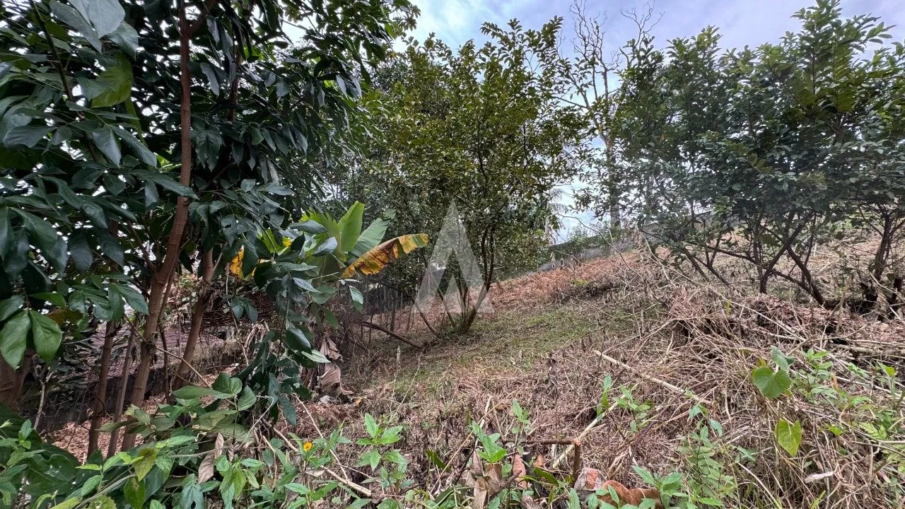 Terreno à venda no bairro Floresta em Joinville, de R$ 870.000,00 por R$826.500,00. — foto 3
