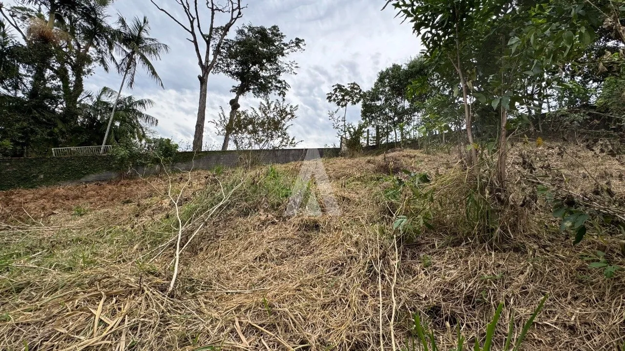 Terreno à venda no bairro Floresta em Joinville, de R$ 870.000,00 por R$826.500,00. — foto 7