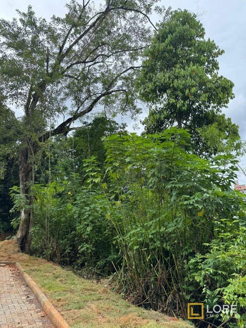 Terreno à venda, 800 m por R$ 750.000,00 - Vila Nova - Blumenau/SC — foto 3