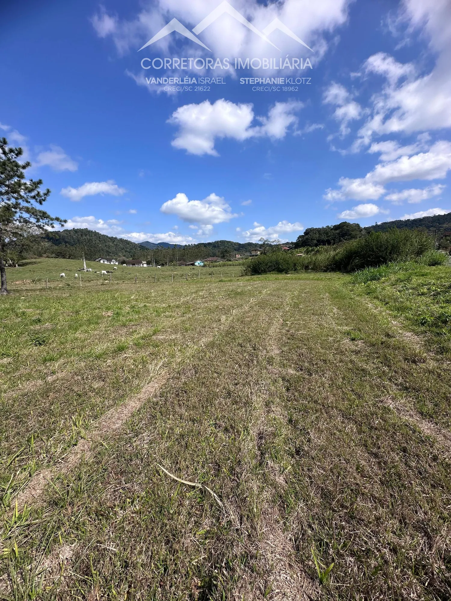 TERRENO, Testo Alto, Pomerode - SC — foto 4