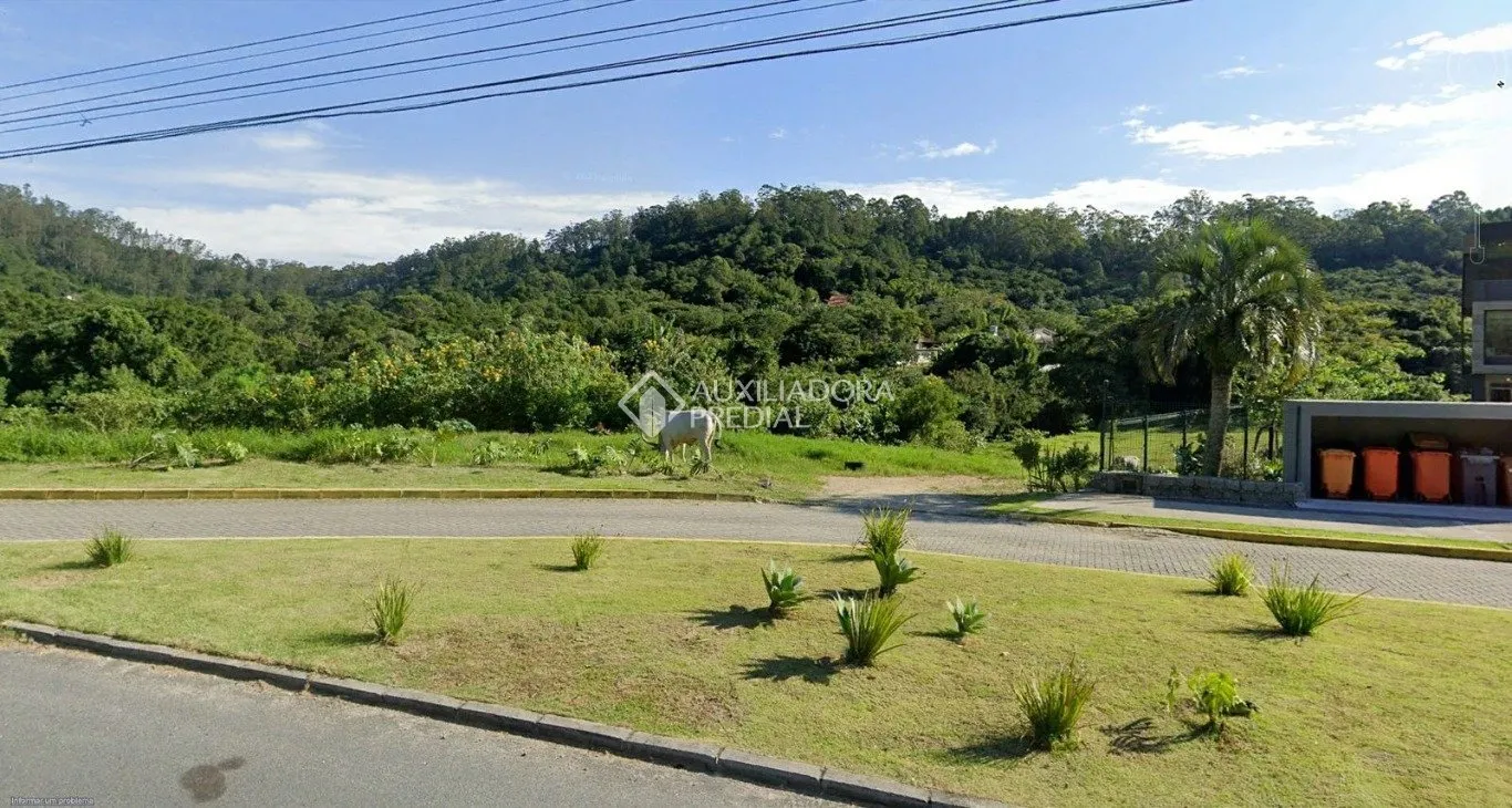 Imóvel — foto 4