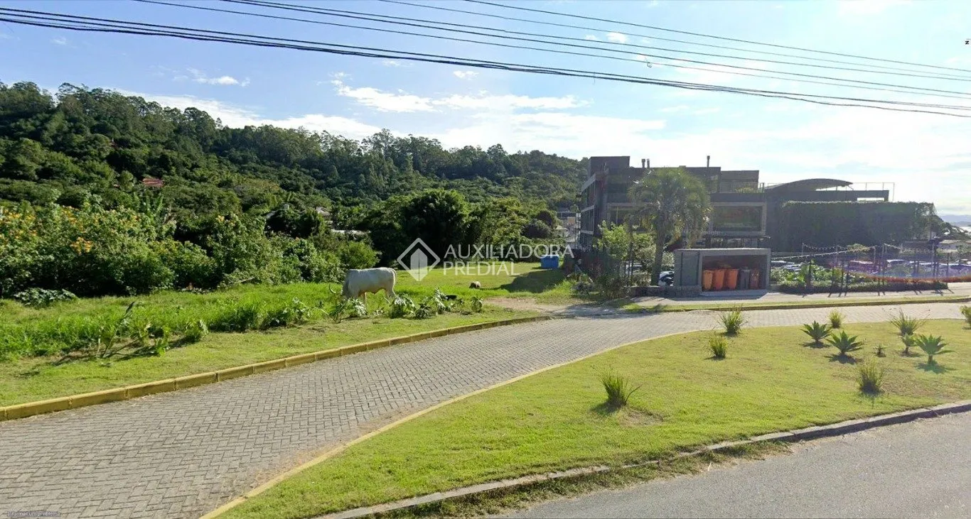Imóvel — foto 5