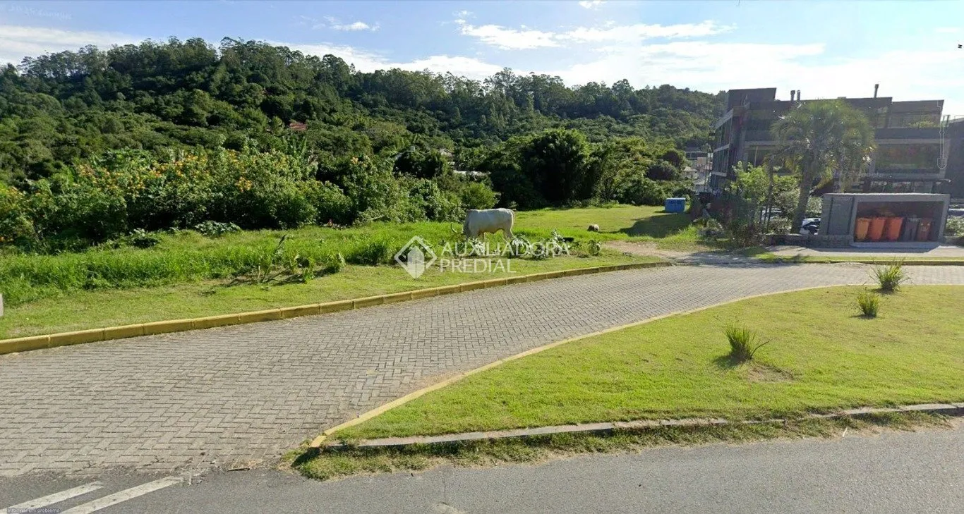 Imóvel — foto 6