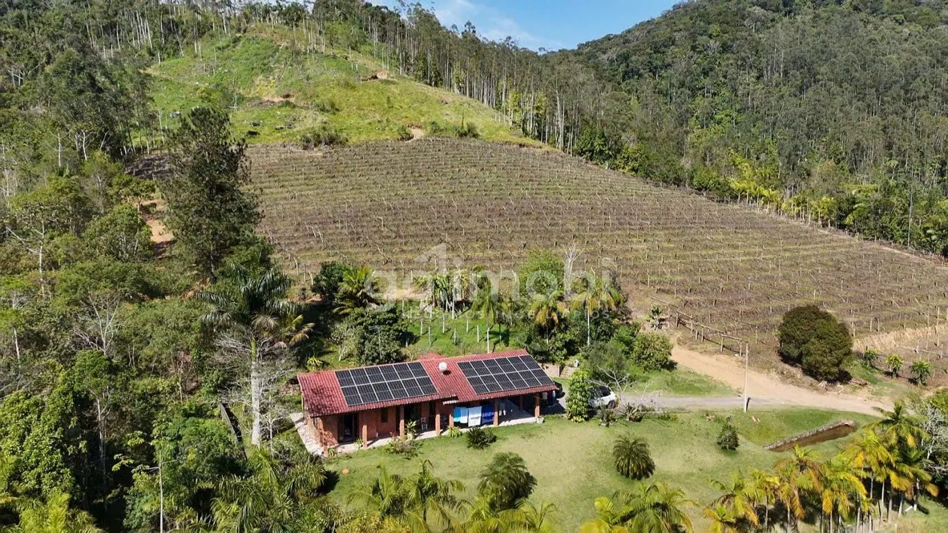 Sítio Exclusivo em Rodeio - 240 mil m de Natureza, Vinhedo e Tranquilidade - foto 1
