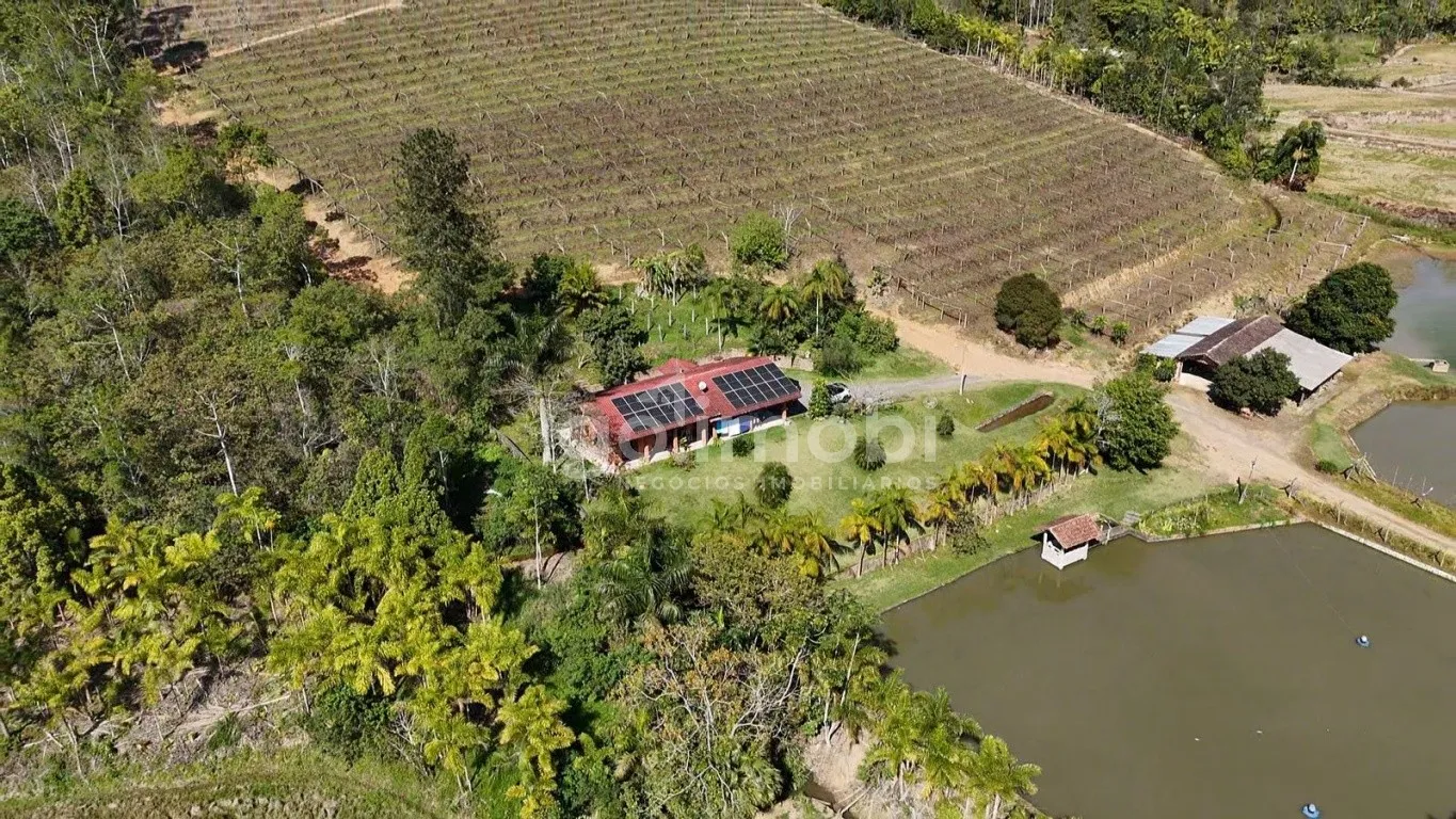 Sítio Exclusivo em Rodeio - 240 mil m de Natureza, Vinhedo e Tranquilidade — foto 3