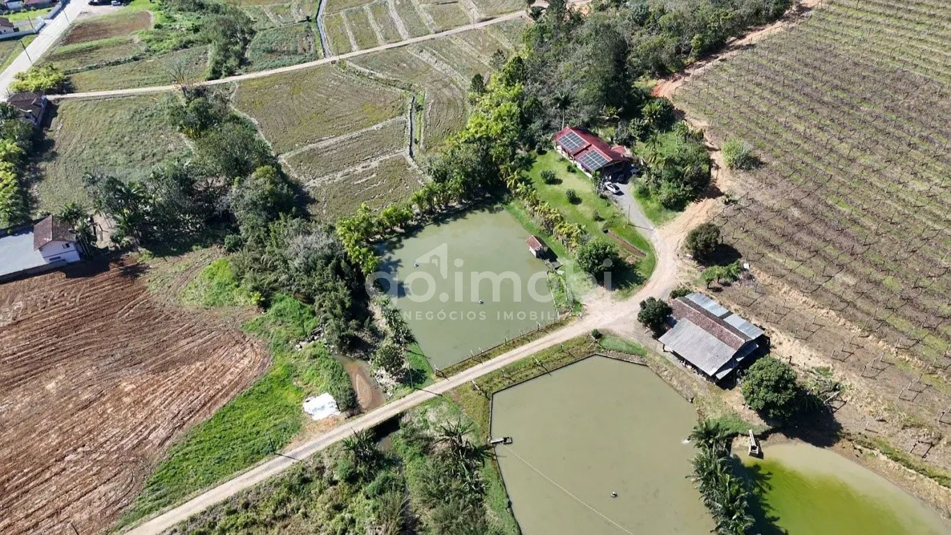 Sítio Exclusivo em Rodeio - 240 mil m de Natureza, Vinhedo e Tranquilidade — foto 4