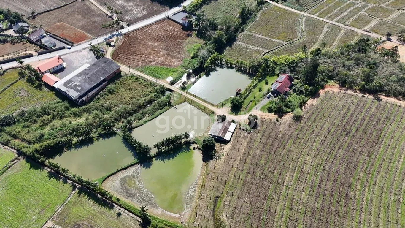Sítio Exclusivo em Rodeio - 240 mil m de Natureza, Vinhedo e Tranquilidade — foto 6