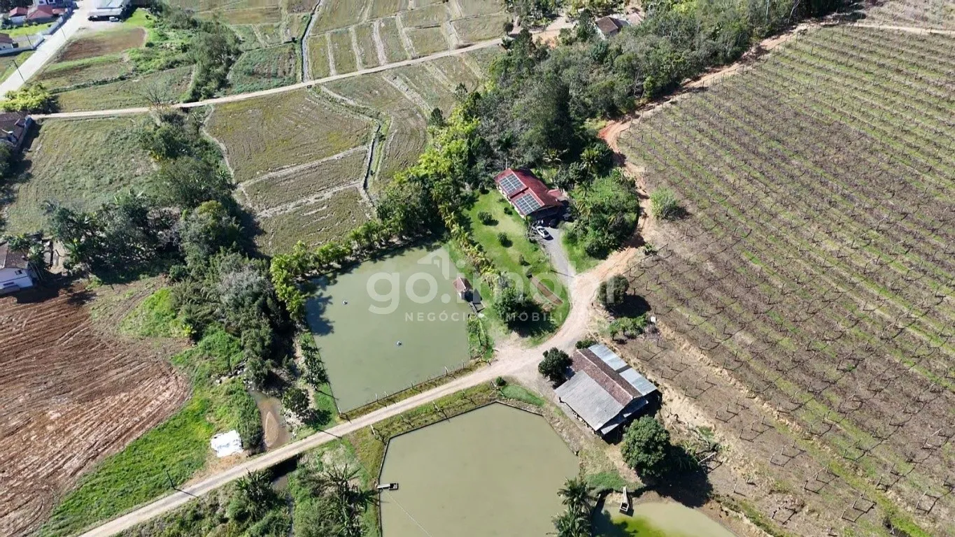 Sítio Exclusivo em Rodeio - 240 mil m de Natureza, Vinhedo e Tranquilidade — foto 7