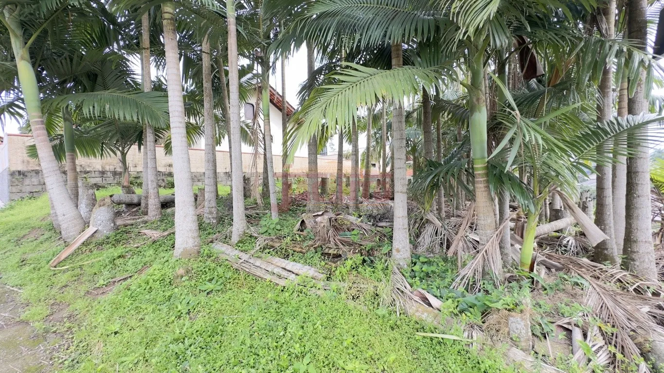 Terreno de esquina à venda - Bairro Fortaleza, Blumenau. — foto 2