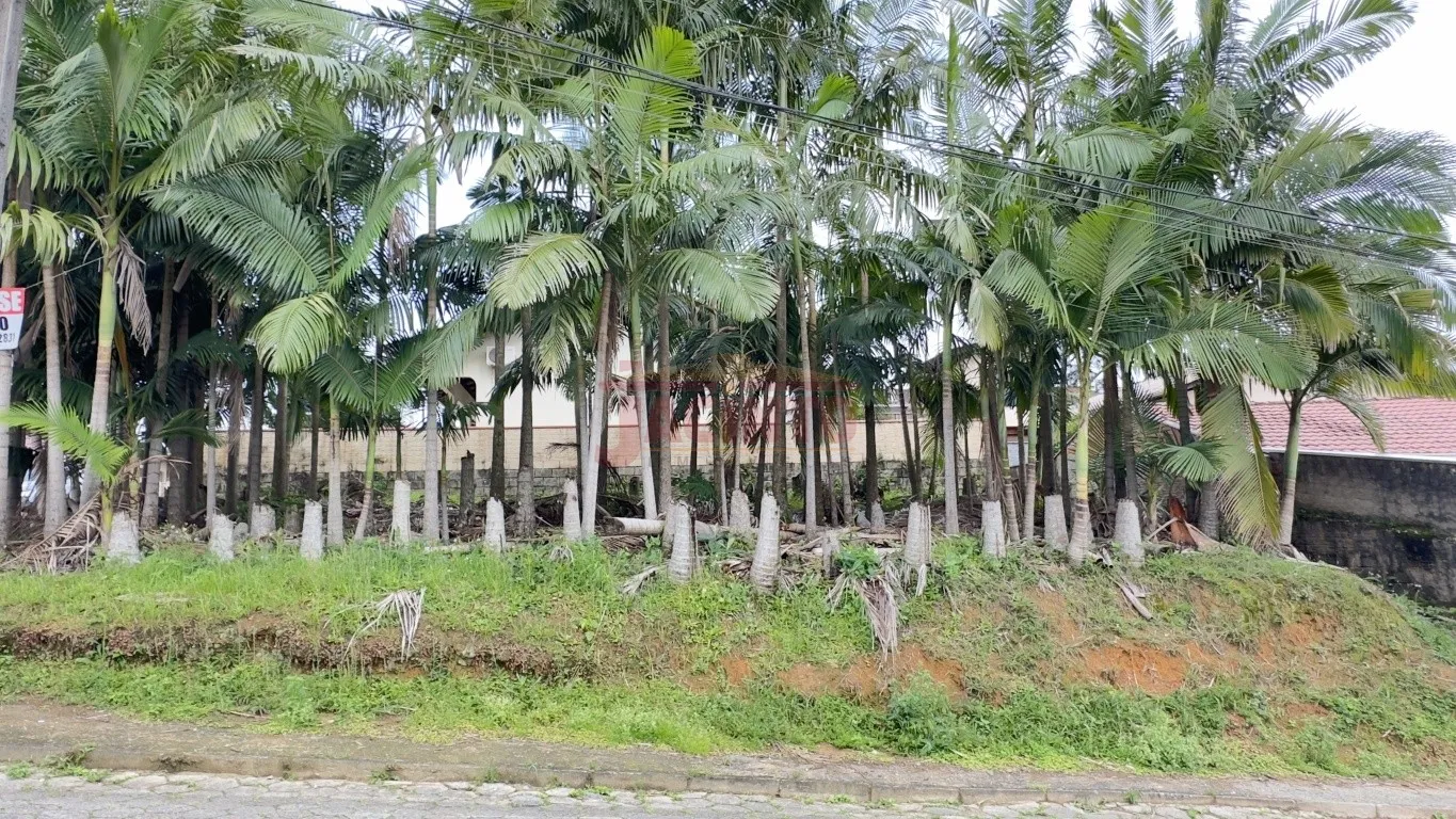 Terreno de esquina à venda - Bairro Fortaleza, Blumenau. — foto 3
