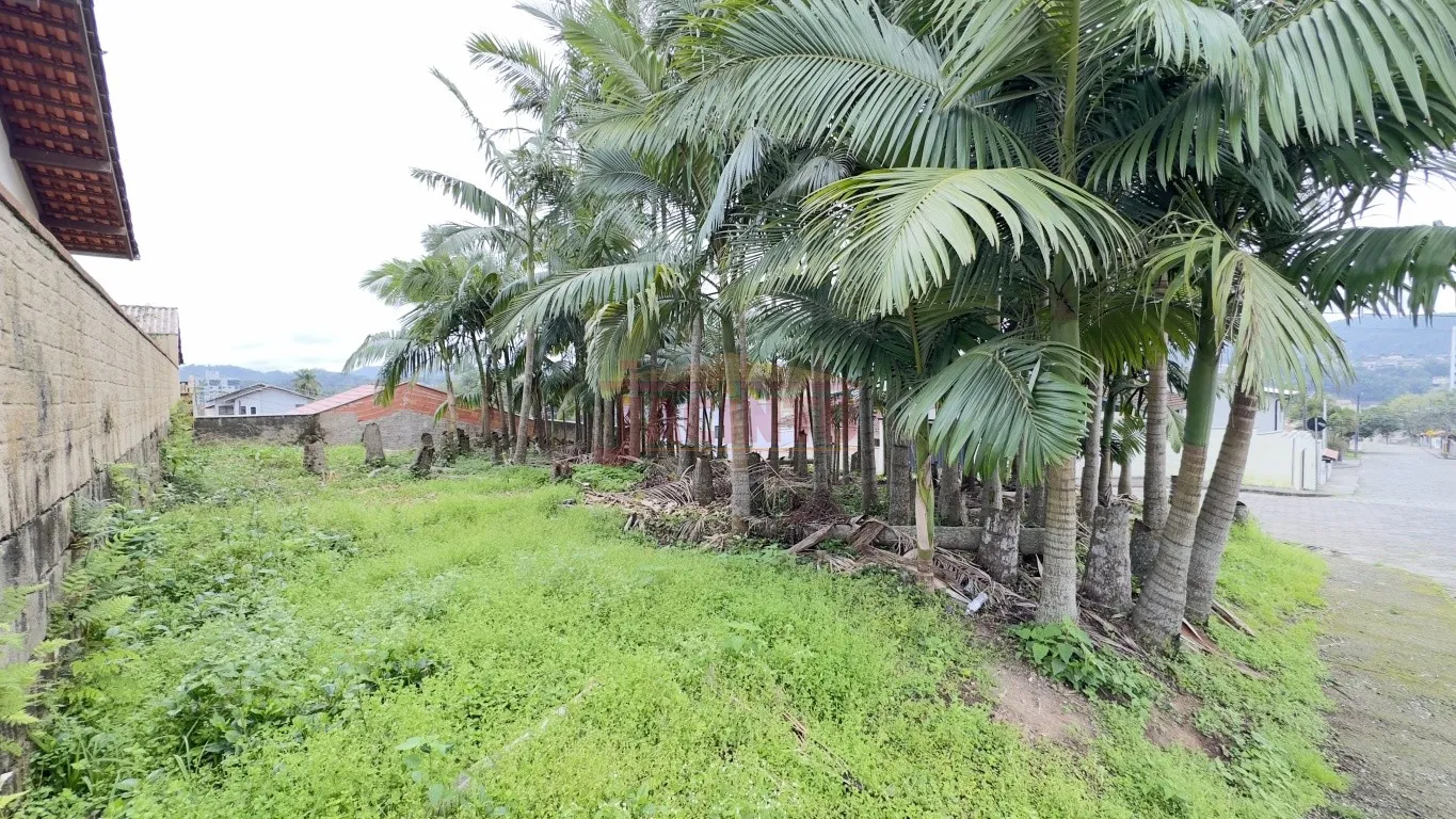Terreno de esquina à venda - Bairro Fortaleza, Blumenau. — foto 5
