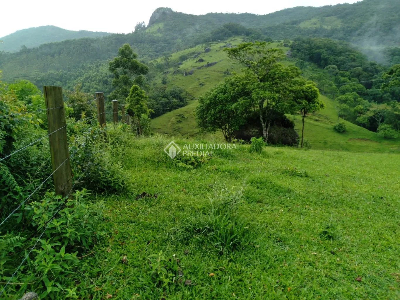 Imóvel — foto 4