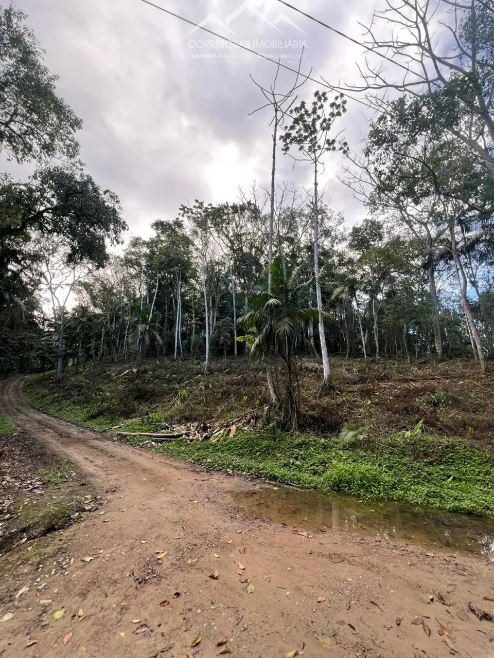 TERRENO - Wunderwald, Pomerode SC - foto 1
