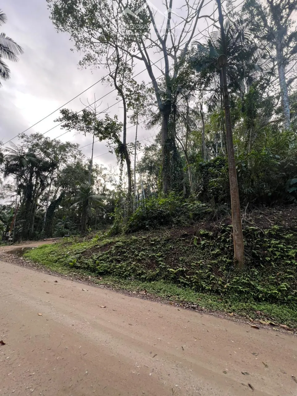 TERRENO - Wunderwald, Pomerode SC — foto 2