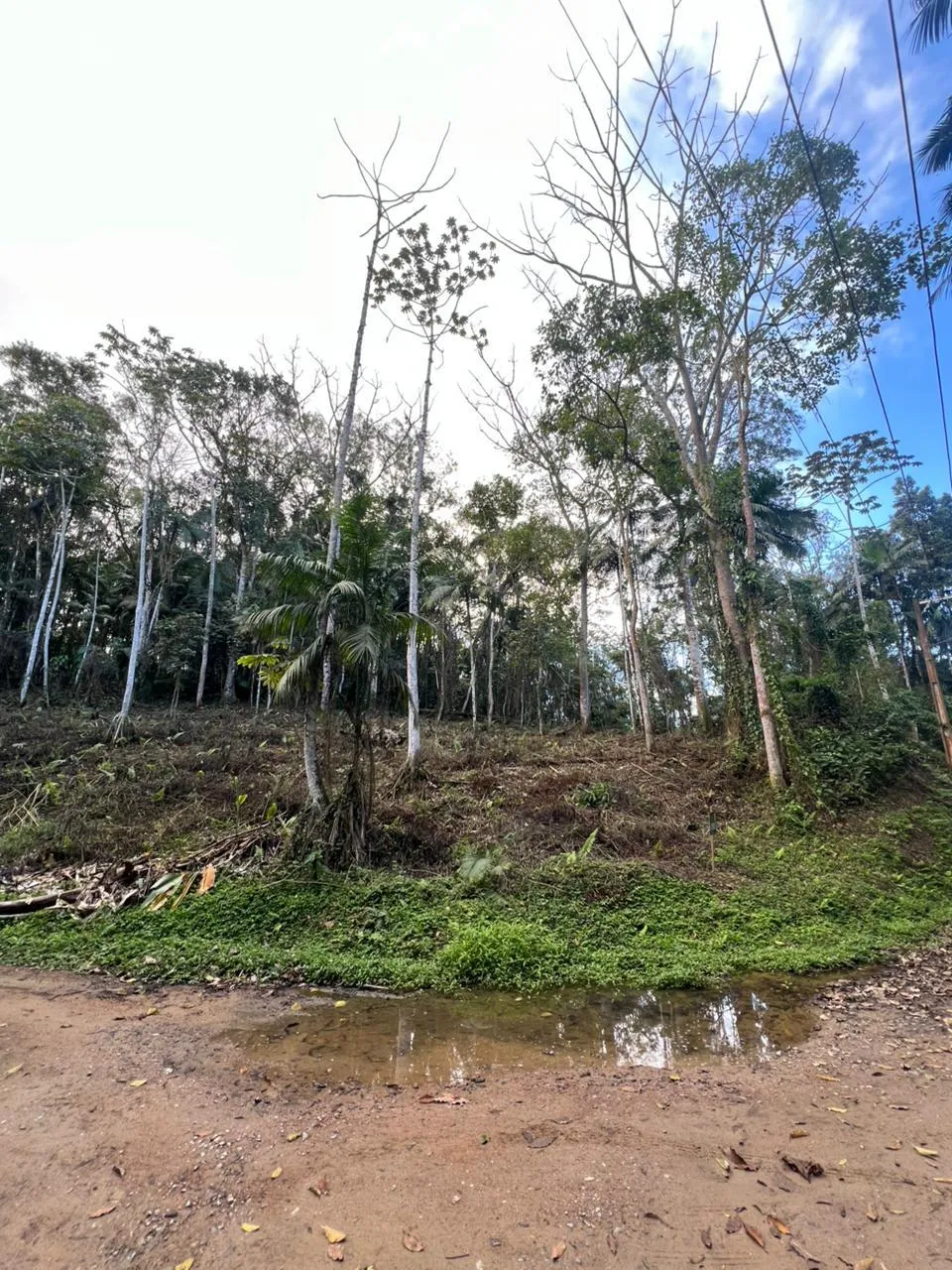 TERRENO - Wunderwald, Pomerode SC — foto 3