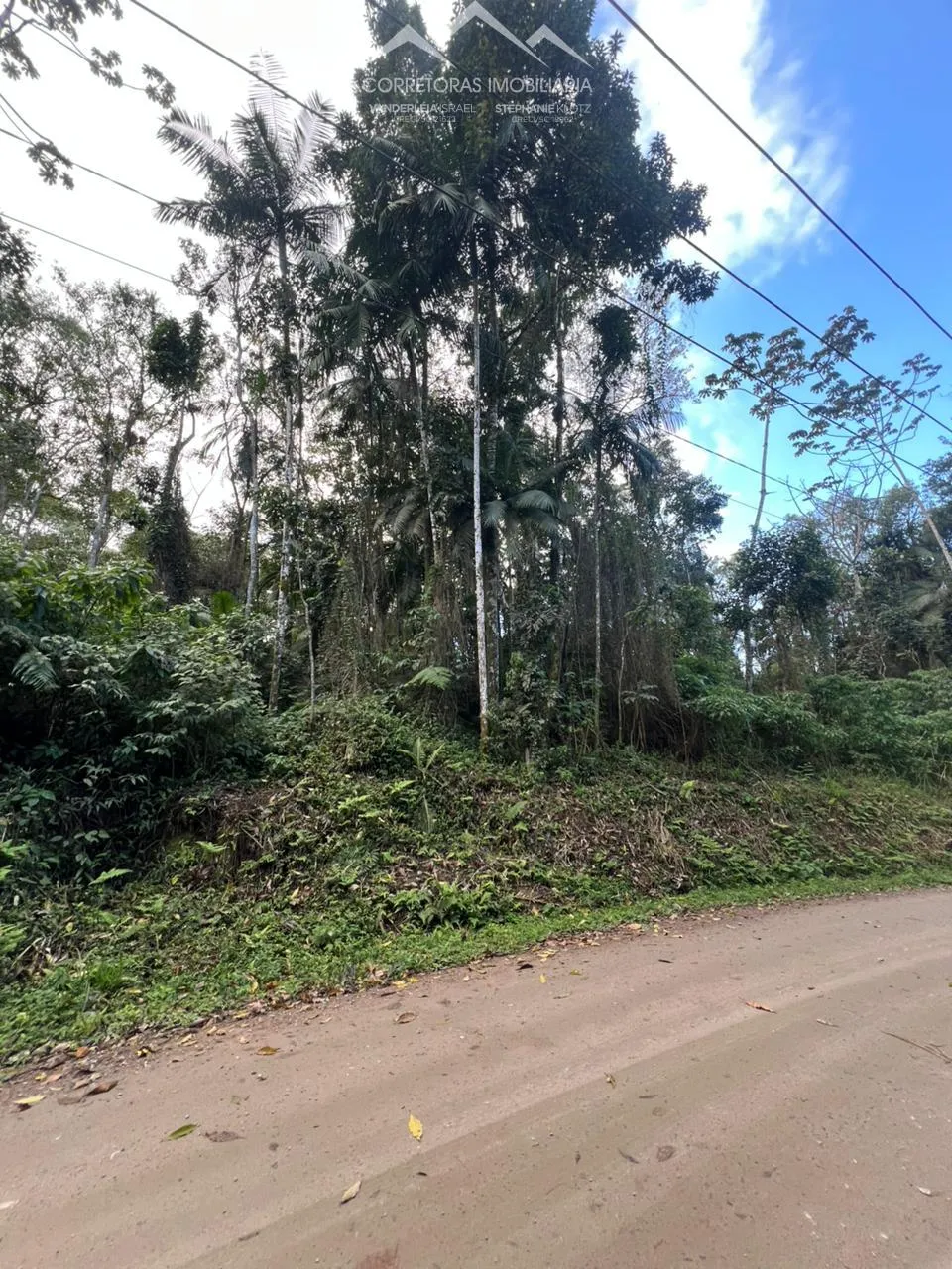 TERRENO - Wunderwald, Pomerode SC — foto 4