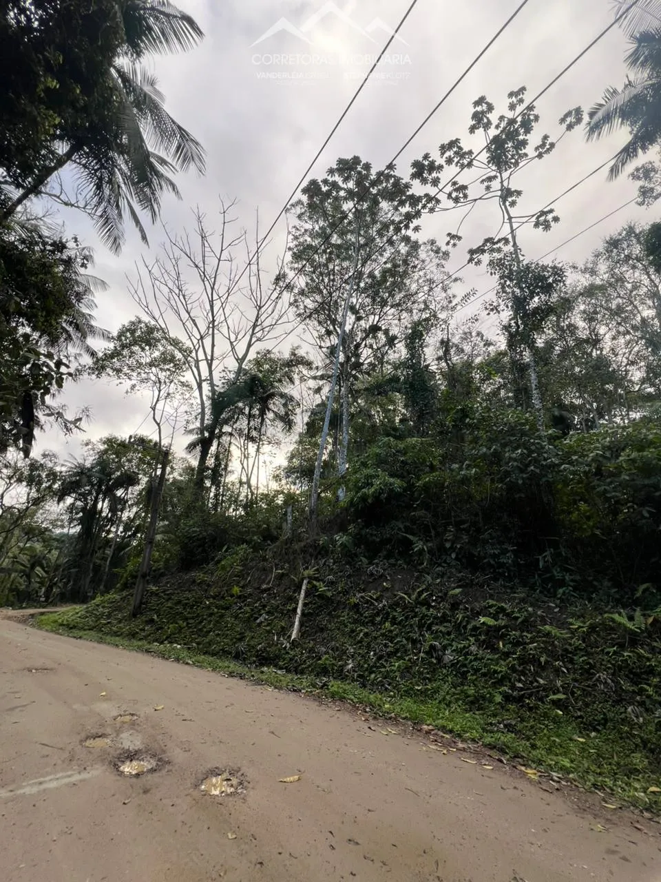 TERRENO - Wunderwald, Pomerode SC — foto 5