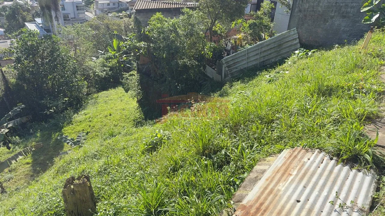 Terreno à venda no Bairro Garcia - Blumenau/SC. — foto 5