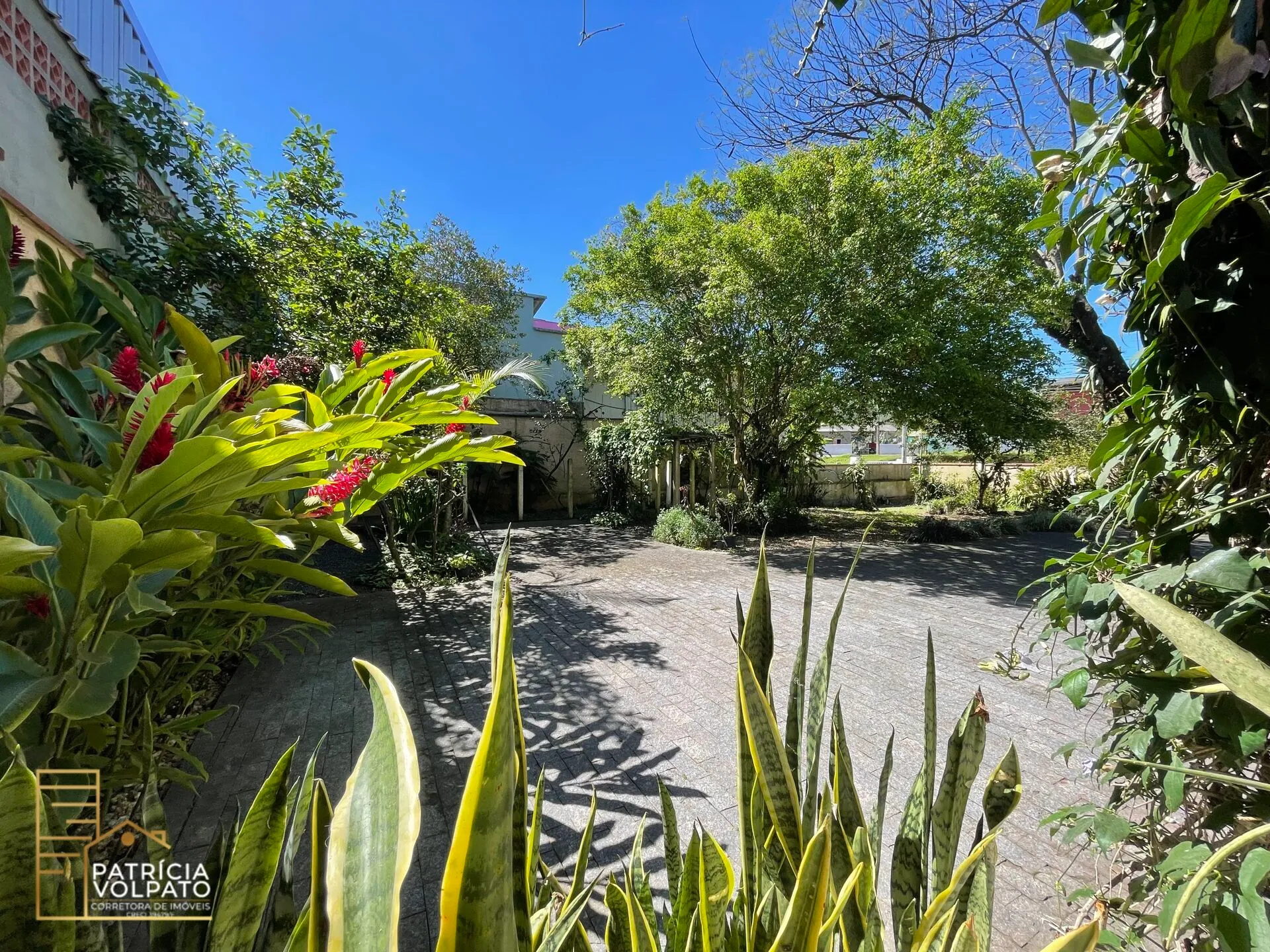 Casa Duplex com amplo terreno livre — foto 3
