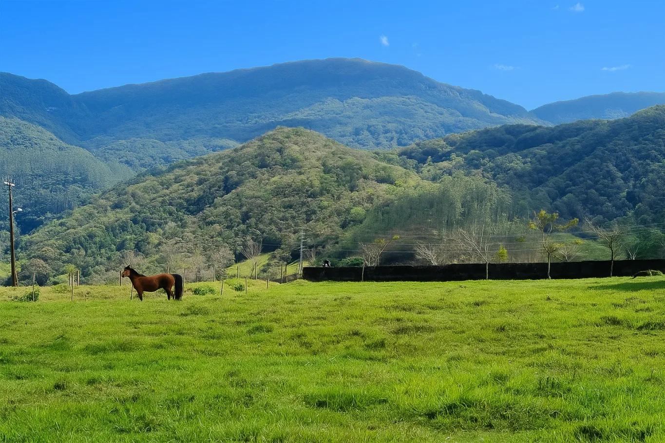 Terreno de Sítio à Venda em Ascurra - Bairro Ribeirão São Paulo - foto 1