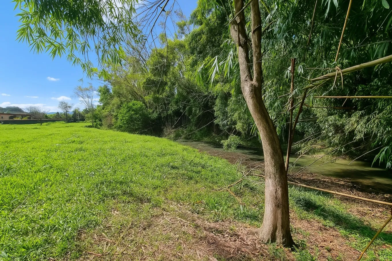 Terreno de Sítio à Venda em Ascurra - Bairro Ribeirão São Paulo — foto 4