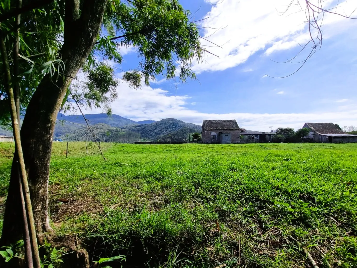 Terreno de Sítio à Venda em Ascurra - Bairro Ribeirão São Paulo — foto 7