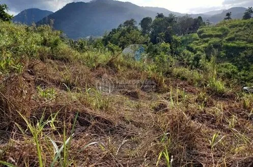 Terreno Espetacular no Centro de Pomerode — foto 3