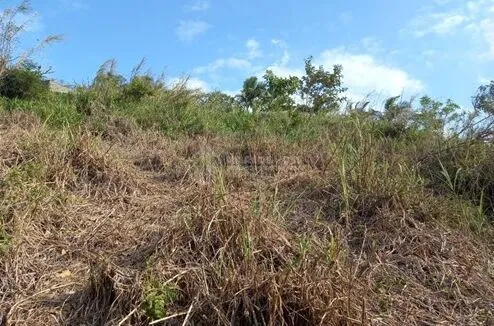 Terreno Espetacular no Centro de Pomerode — foto 5