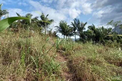 Terreno Espetacular no Centro de Pomerode — foto 6