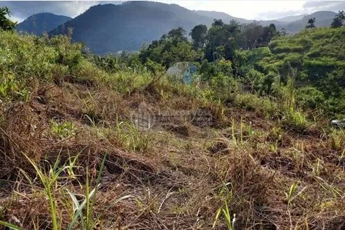 Terreno Espetacular no Centro de Pomerode — foto 7