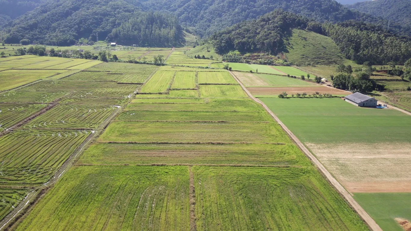 Terreno rural à venda em Ascurra - foto 1