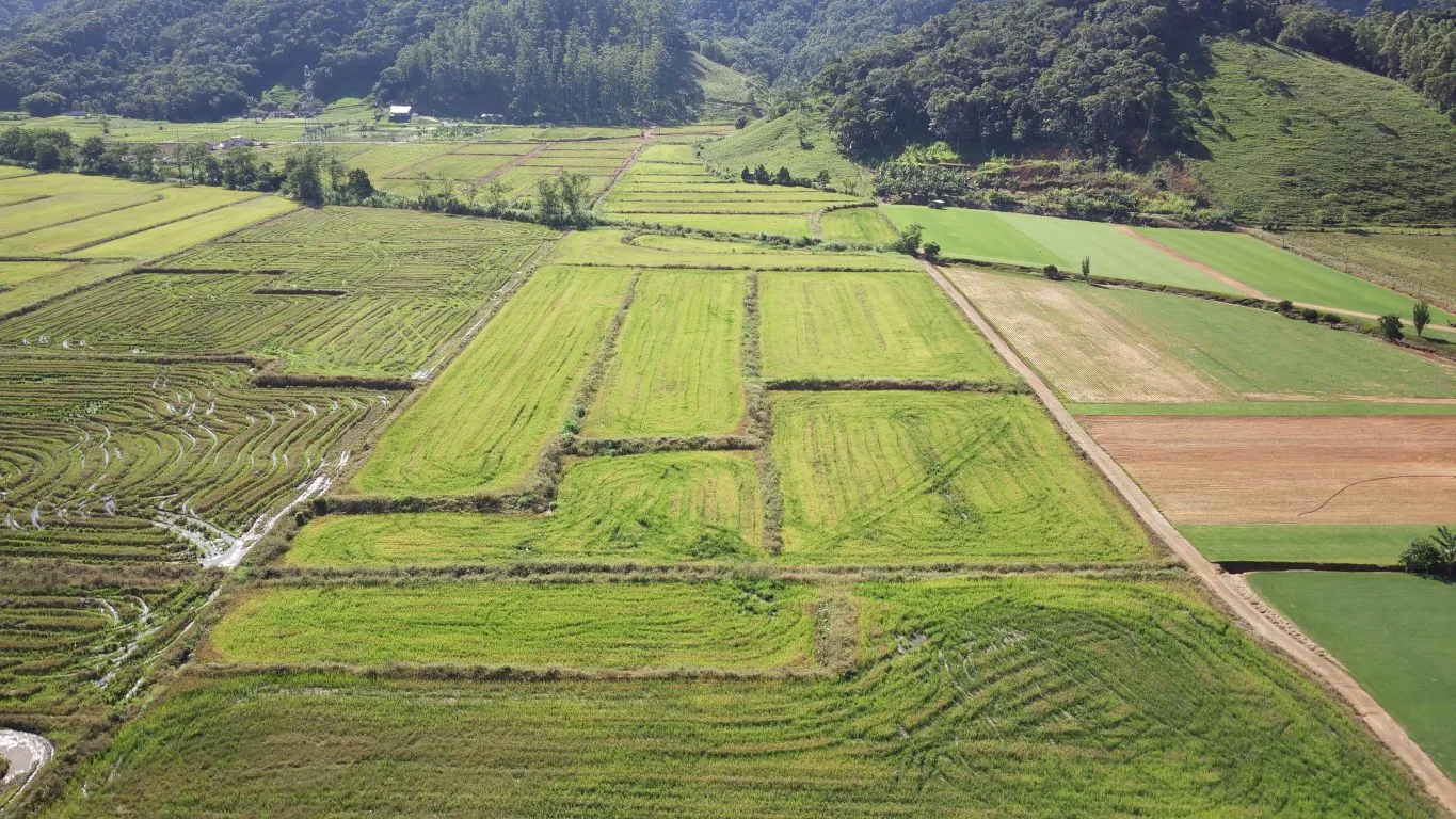 Terreno rural à venda em Ascurra — foto 3