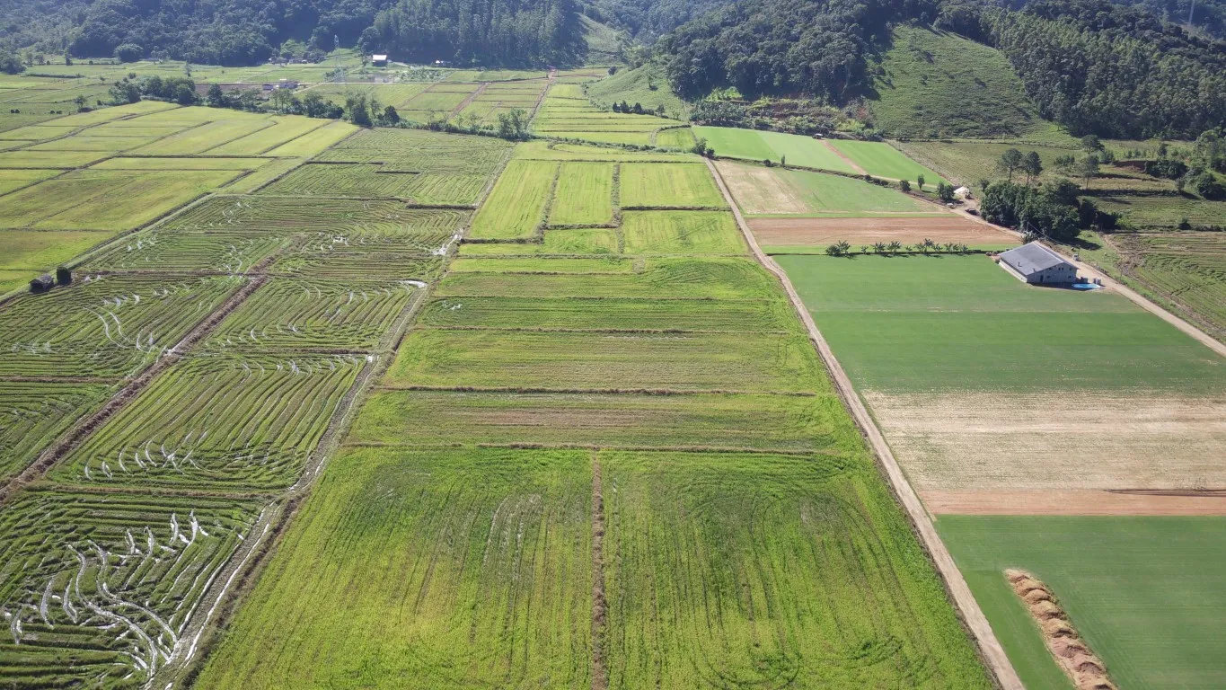 Terreno rural à venda em Ascurra — foto 4