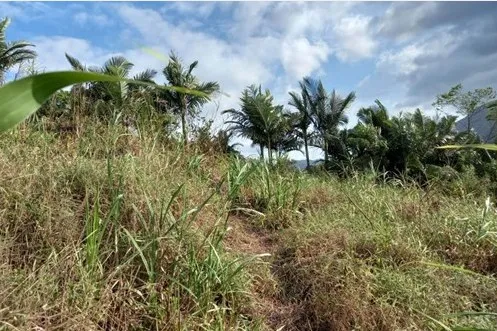 Terreno com 3.360M e potencial para Pousda, hotel, restaurante no Bairro Centro de Pomerode/SC. Ref. 1516 — foto 4