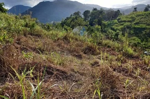 Terreno com 3.360M e potencial para Pousda, hotel, restaurante no Bairro Centro de Pomerode/SC. Ref. 1516 — foto 6