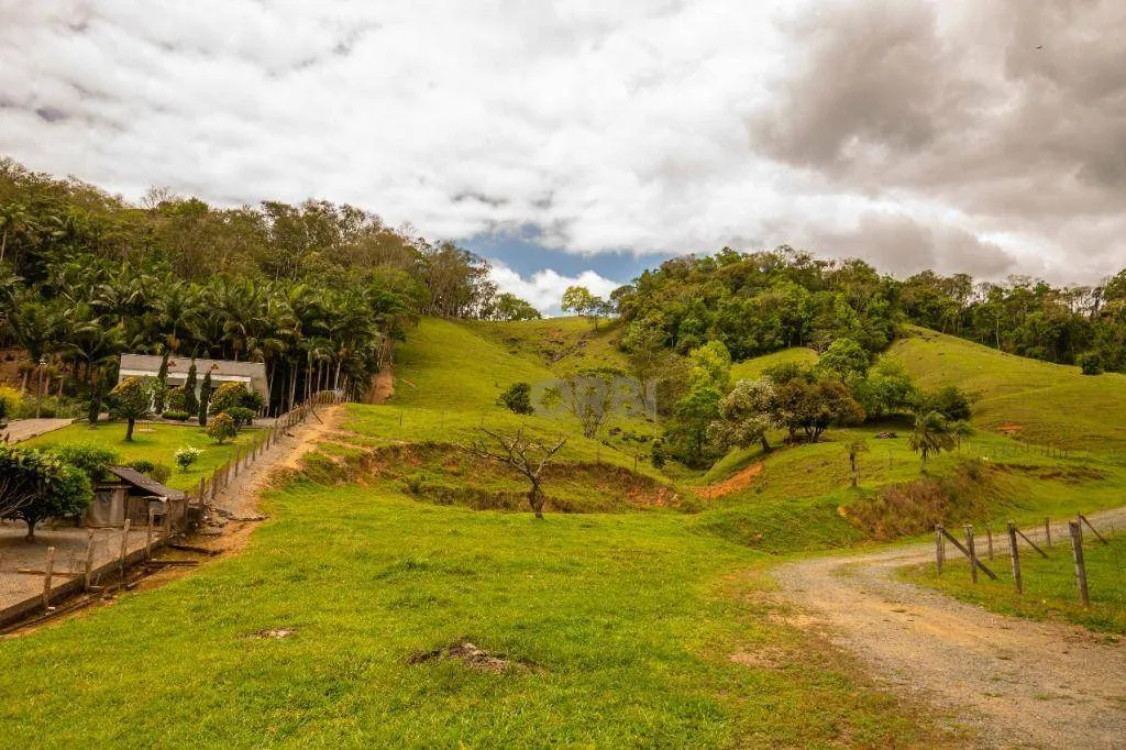 Sítio com 3 dormitórios à venda, 206437 m por R$ 2.200.000 - Vila Itoupava - Blumenau/SC | Orbi Imóveis — foto 5