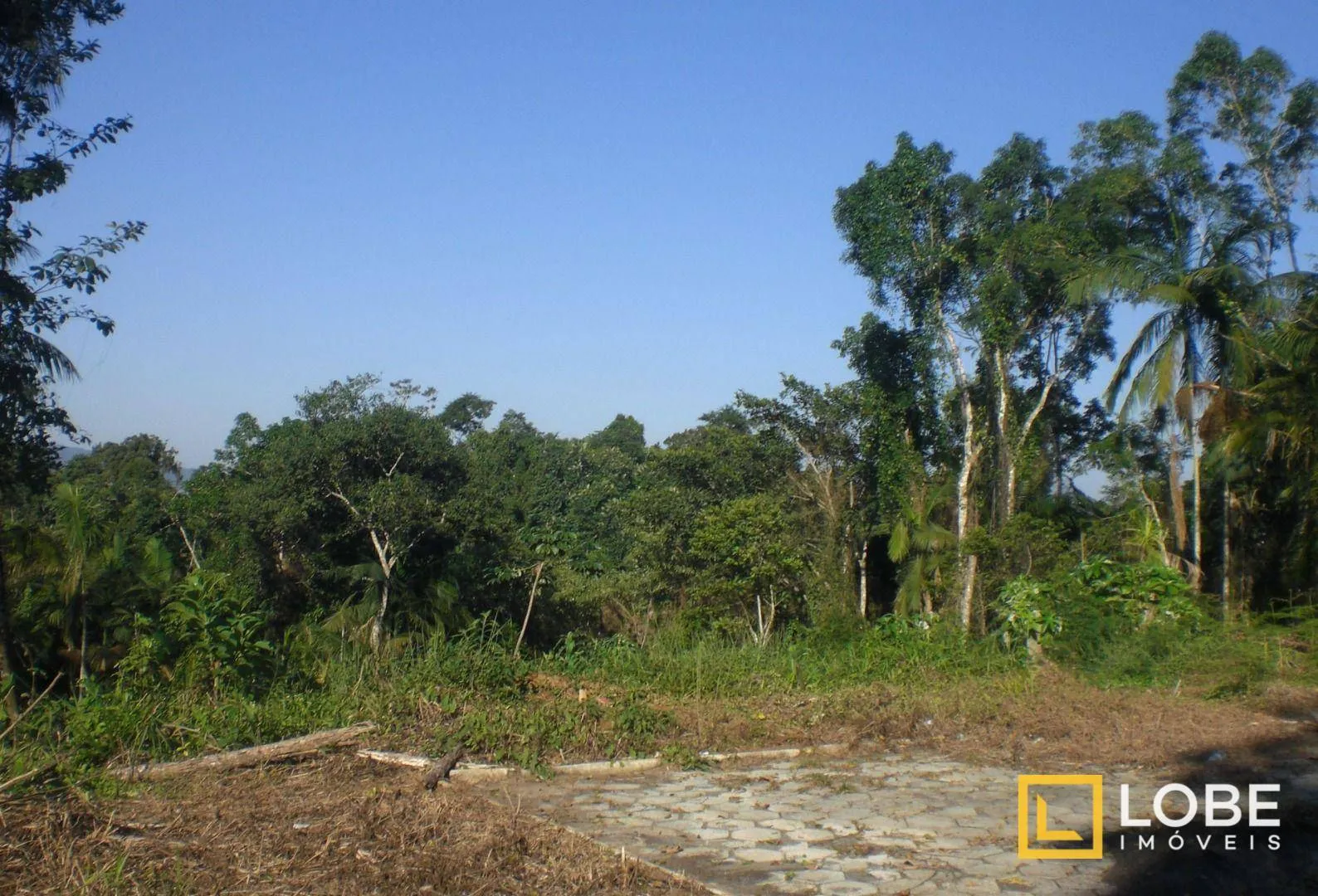 Terreno à venda com 688m no bairro Itoupava Central - Blumenau/SC - foto 1