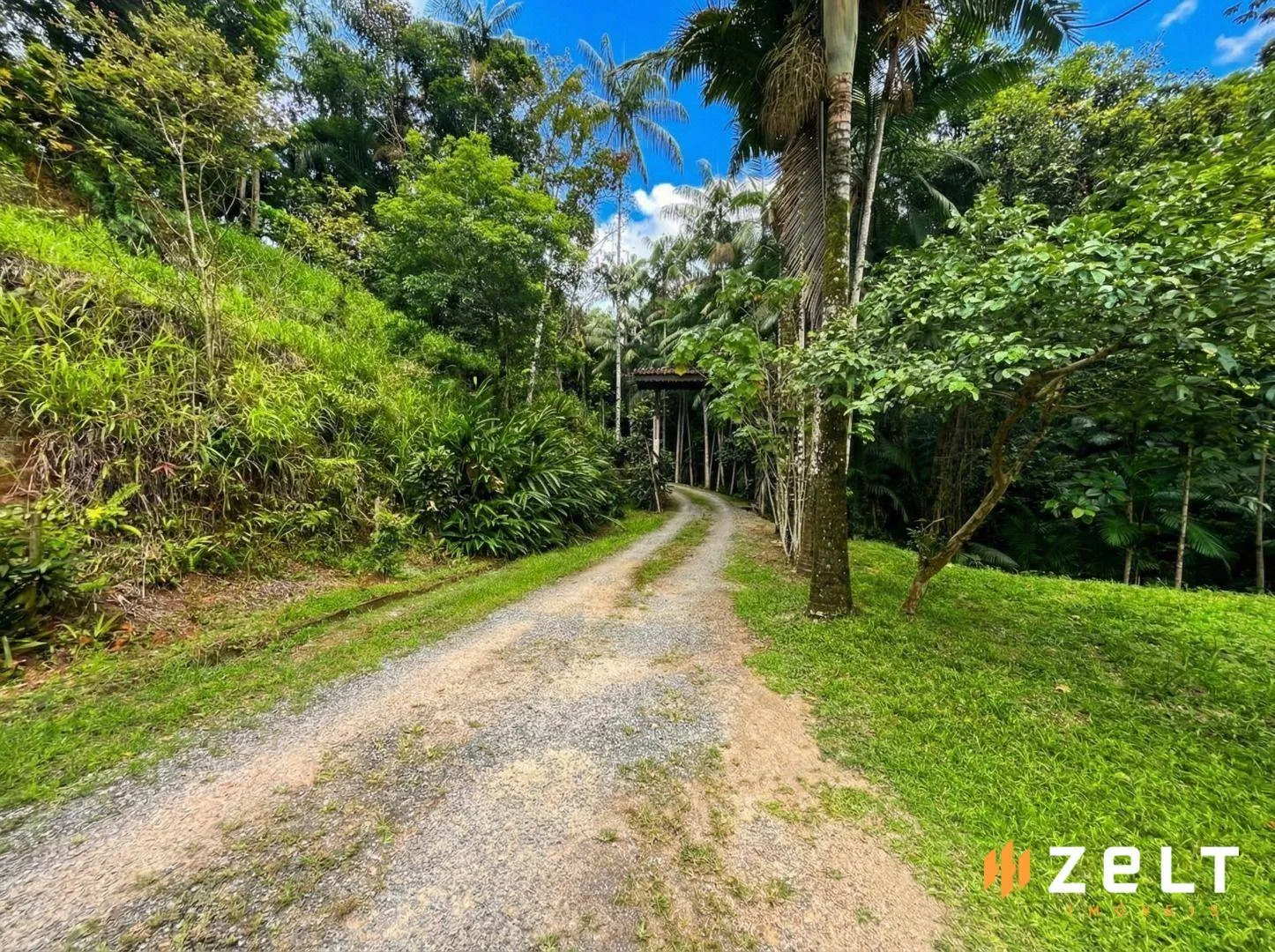 Sítio com 3 dormitórios à venda, 35000 m por R$ 2.300.000,00 - Garcia - Blumenau/SC — foto 7