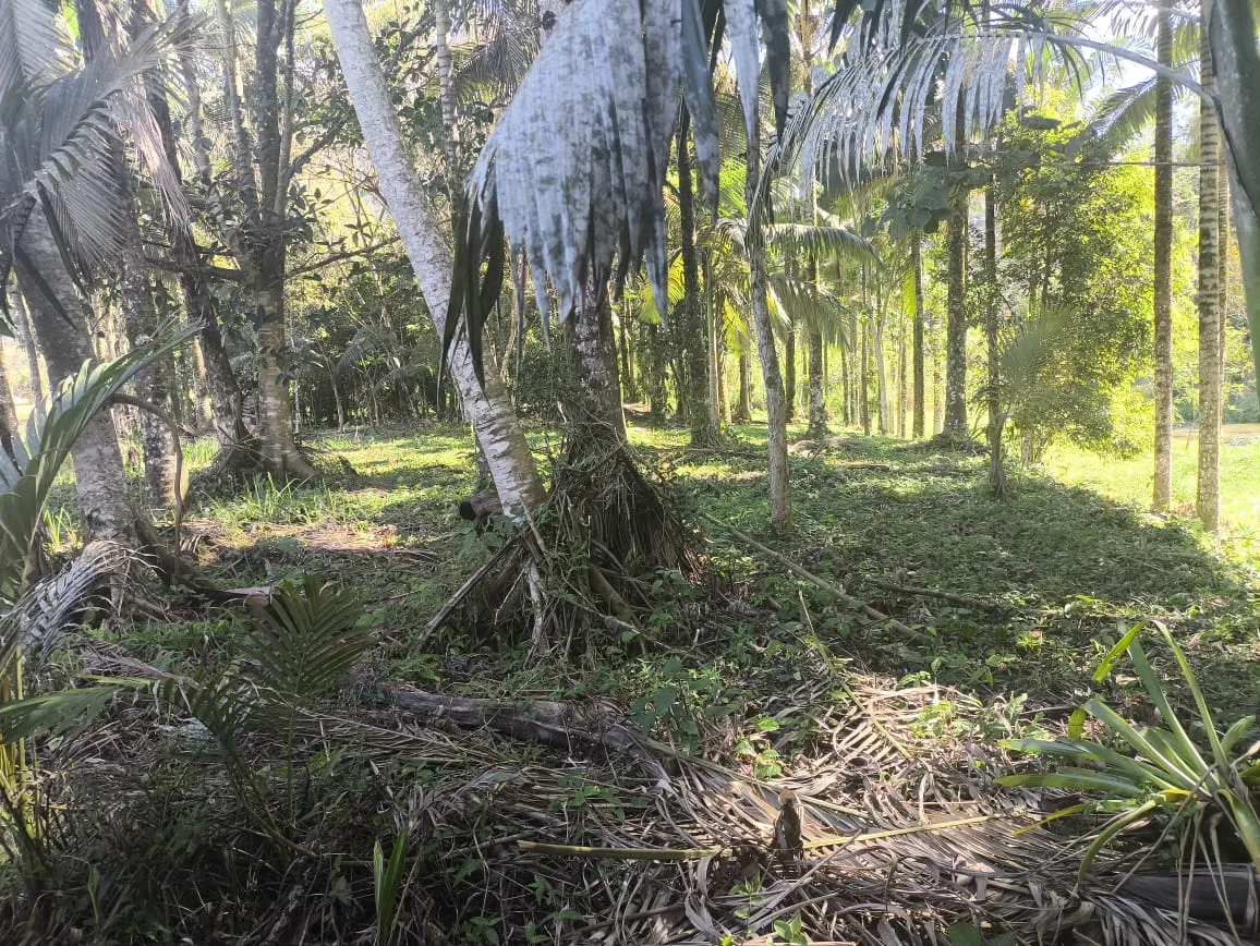 VENDO TERRENOS — foto 3
